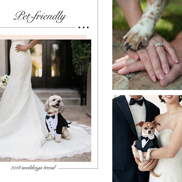 夏日婚礼3大创意元素 让你的婚礼照与众不同