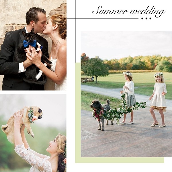 夏日婚礼3大创意元素 让你的婚礼照与众不同