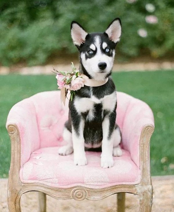 婚礼创意环节有哪些  这五种方式让你的婚礼与众不同